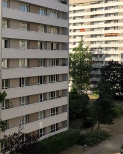 Vide laissé par l'arbre abattu