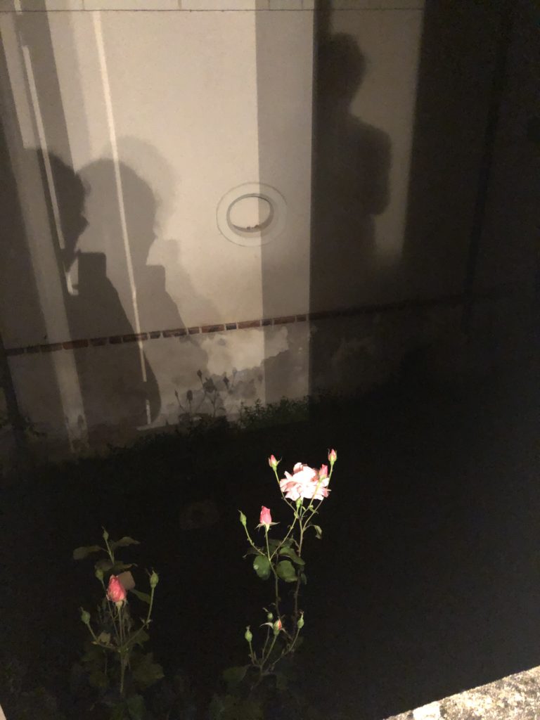 Photo de nuit, avec ma silhouette diffractée. Une rose est surexposée, qui semble répondre à un "haut les mains"