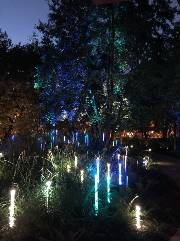 Lumières du jardin du quai Branly