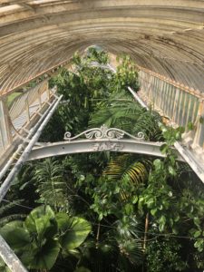 Serre des palmiers aux Kew gardens, vu d'en haut