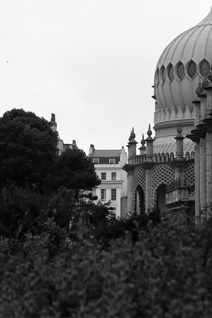 Un arbre et un bout de Royal Pavilion encadrent un immeuble plus lambda