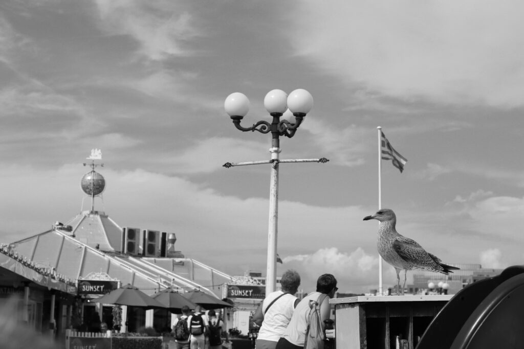 Mouettes et mamies sur le pier