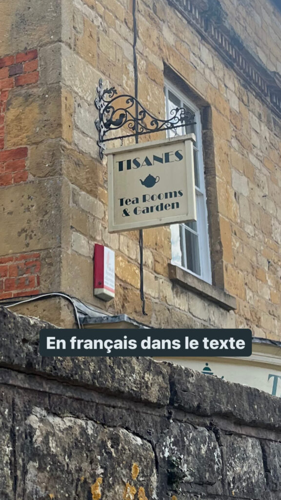 Enseigne "Tisanes", en français dans le texte