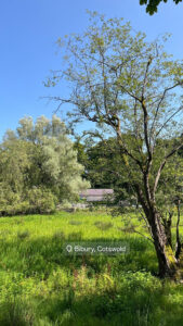 Plaine de verdure devant le village