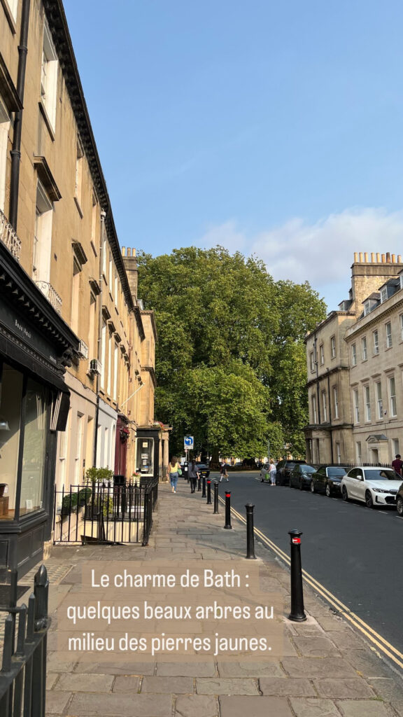 Le charme de Bath : quelques beaux arbres au milieu des pierres jaunes.