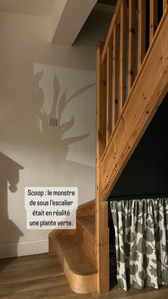 Ombre d'une plante dans l'escalier. Scoop : le monstre de sous l'escalier était en réalité une plante verte.