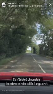 Ça m'éclate à chaque fois : les arbres et haies des routes taillées à angle droit.