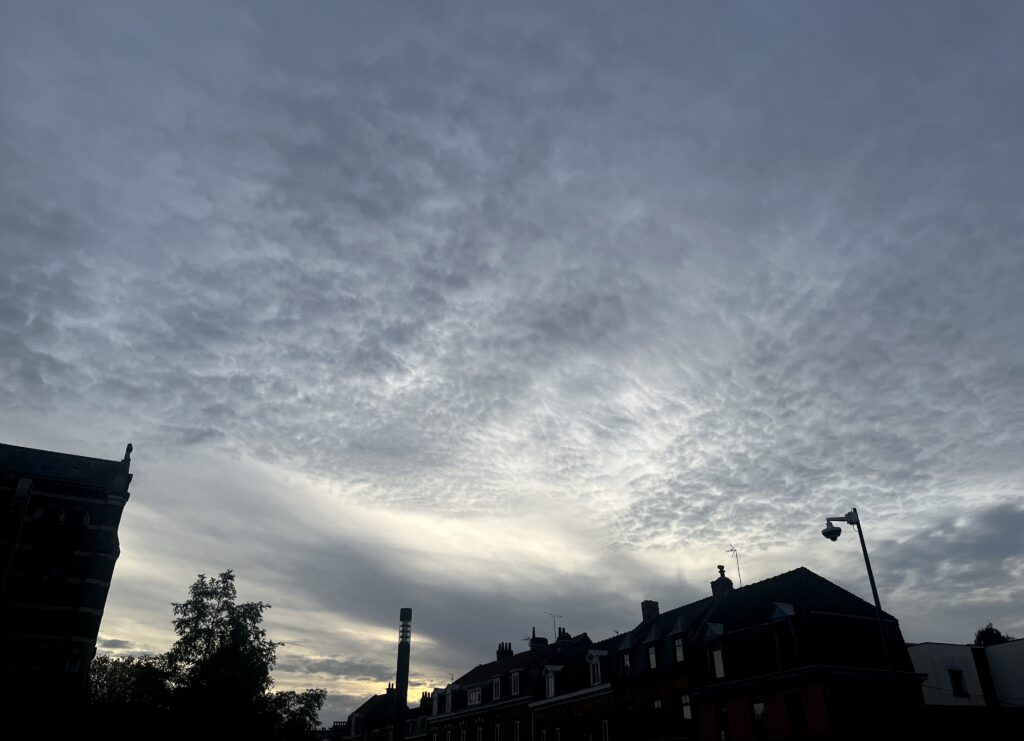 Ciel au pommelage rapproché