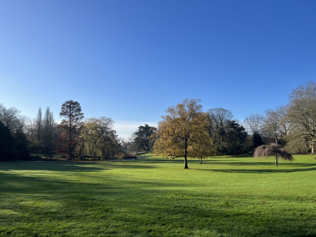 Le parc Barbieux et ses immenses ombres étirées sous un ciel bleu bleu lbleu