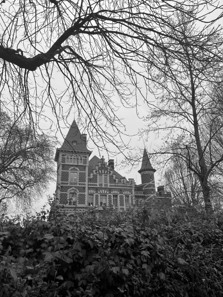 Une espèce de château en briques