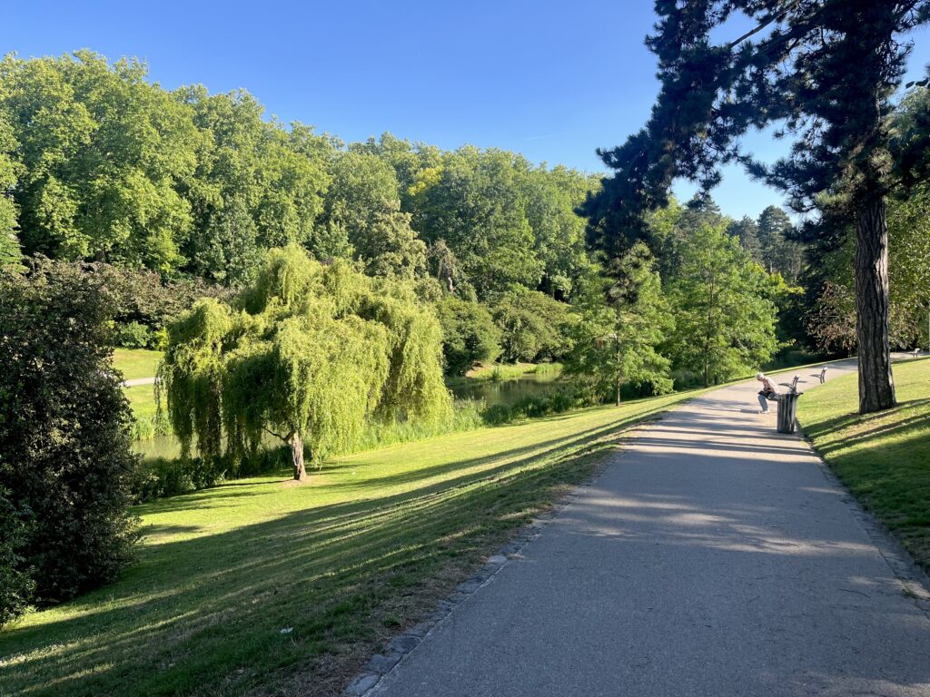 Les ombres en code barre des arbres au parc Barbieux