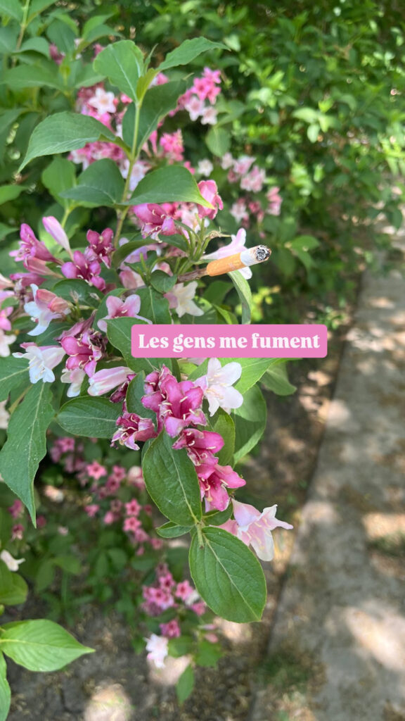 Les gens me fument : un mégot de cigarette est planté au bout d'une branche/tige, au milieu des fleurs