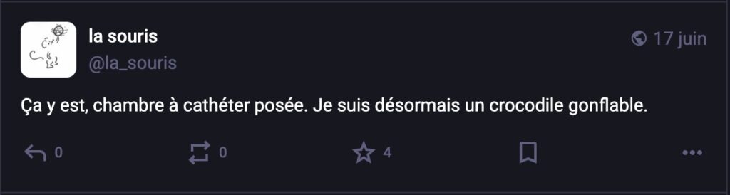Toot sur Mastodon : "Ça y est, chambre à cathéter posée. Je suis désormais un crocodile gonflable."
